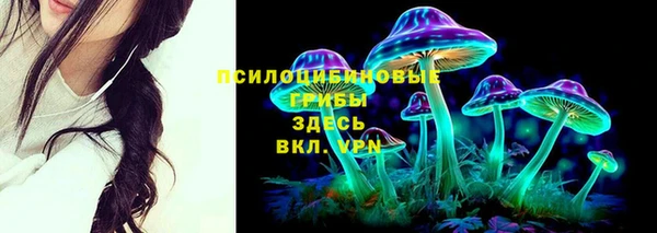 СК Магас