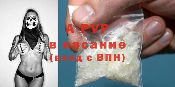 СК Магас