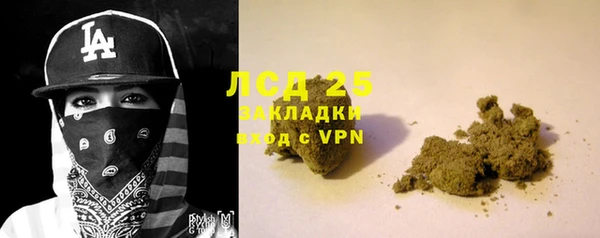 ПСИЛОЦИБИНОВЫЕ ГРИБЫ Лагань