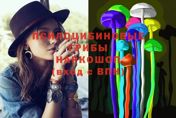 СК Магас