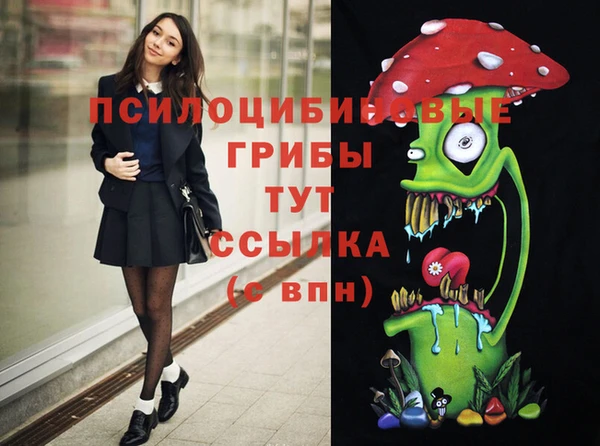 СК Магас