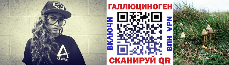 купить наркотики сайты  kraken ССЫЛКА  Псилоцибиновые грибы мицелий  Городище 
