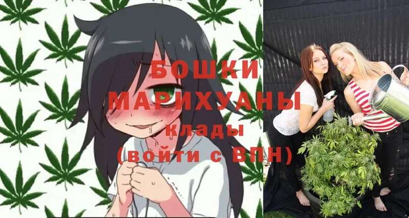 KRAKEN   Городище  Канабис OG Kush 